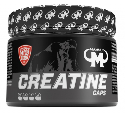 Mammut - Creatine Monohydrat Caps - 240 Kapseln Mammut - Creatine Monohydrat Caps - 240 Kapseln