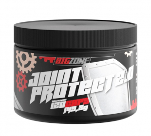 Big Zone - Joint Protect 2.0 - 120 Kapseln